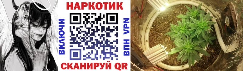 Виды наркотиков купить Гай Cocaine  Меф мяу мяу  Конопля 
