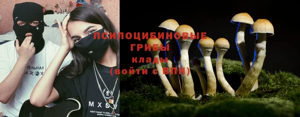 ПСИЛОЦИБИНОВЫЕ ГРИБЫ Белокуриха