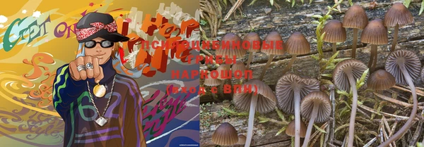 ПСИЛОЦИБИНОВЫЕ ГРИБЫ Белокуриха