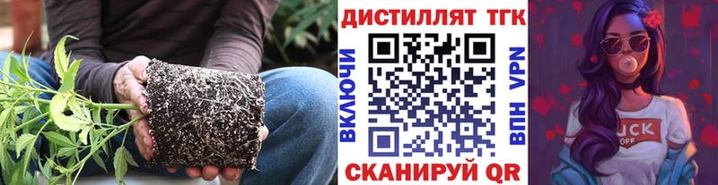 ТГК концентрат маркетплейс как зайти Гай