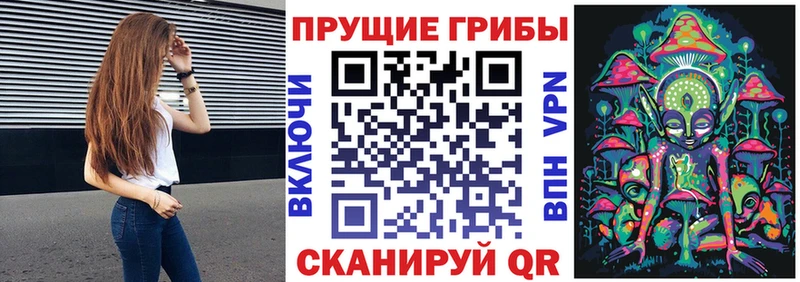 kraken как войти  сколько стоит  Гай  Галлюциногенные грибы мухоморы 