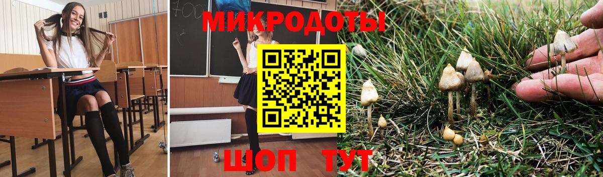 Галлюциногенные грибы Psilocybine cubensis  наркота  Гай  Вход с VPN 