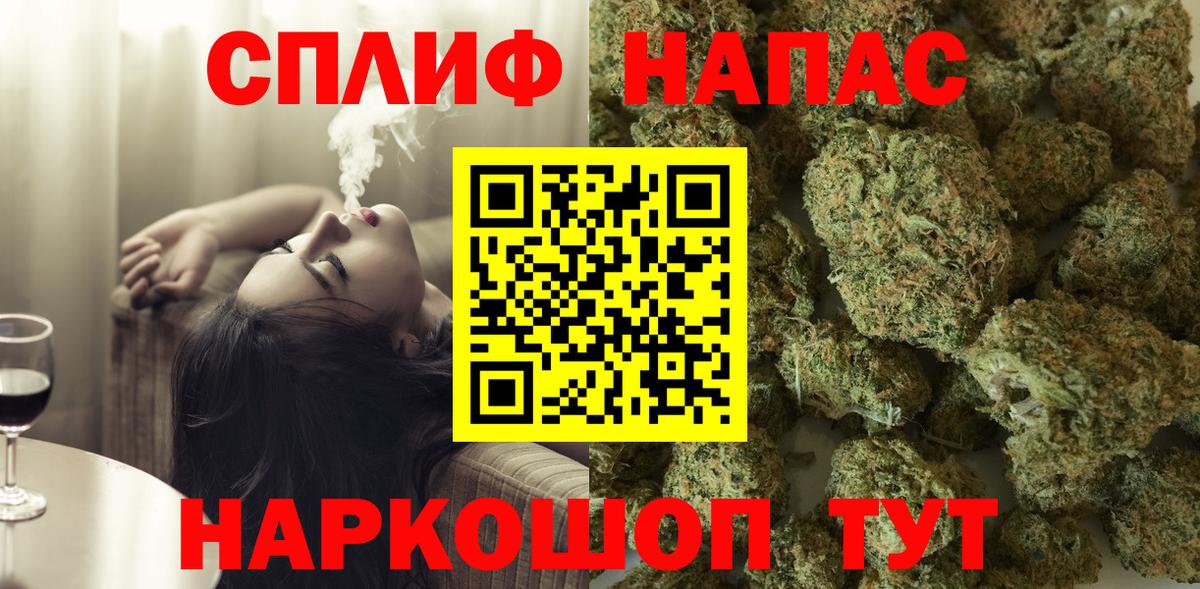 Конопля марихуана Гай